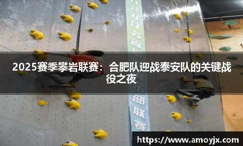 2025赛季攀岩联赛：合肥队迎战泰安队的关键战役之夜