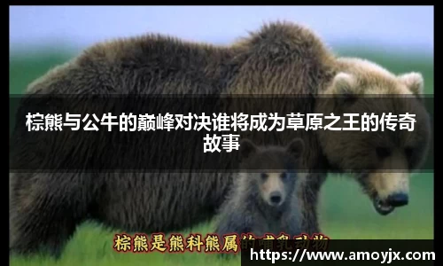 棕熊与公牛的巅峰对决谁将成为草原之王的传奇故事